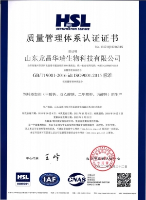 ISO9001質量體系管理認證證書